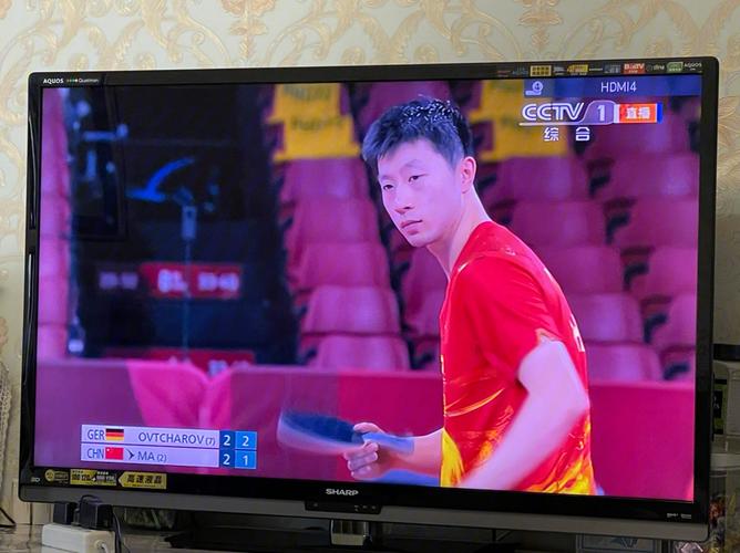 乒乓球比赛直播免费观看