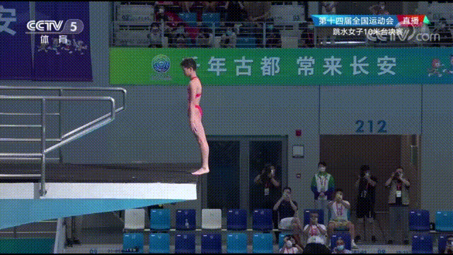 10米跳台女子决赛直播